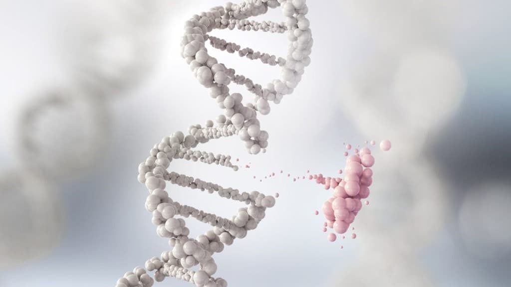 a-breakdown-of-brca-web-1024x68344444.jpg